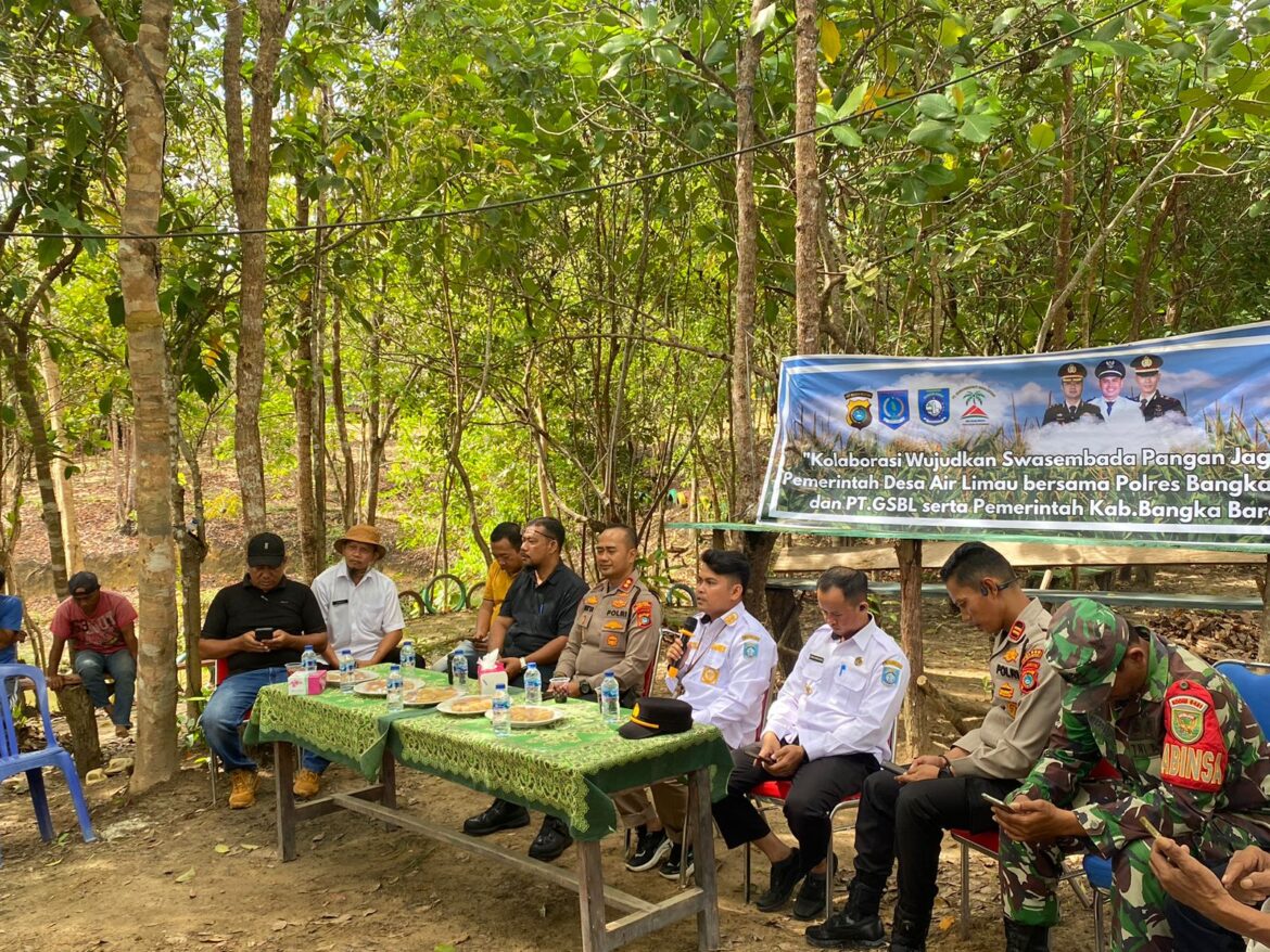 Kapolres Bangka Barat Dukung Program Presiden Lewat Panen Jagung Bersama di Desa Air Limau