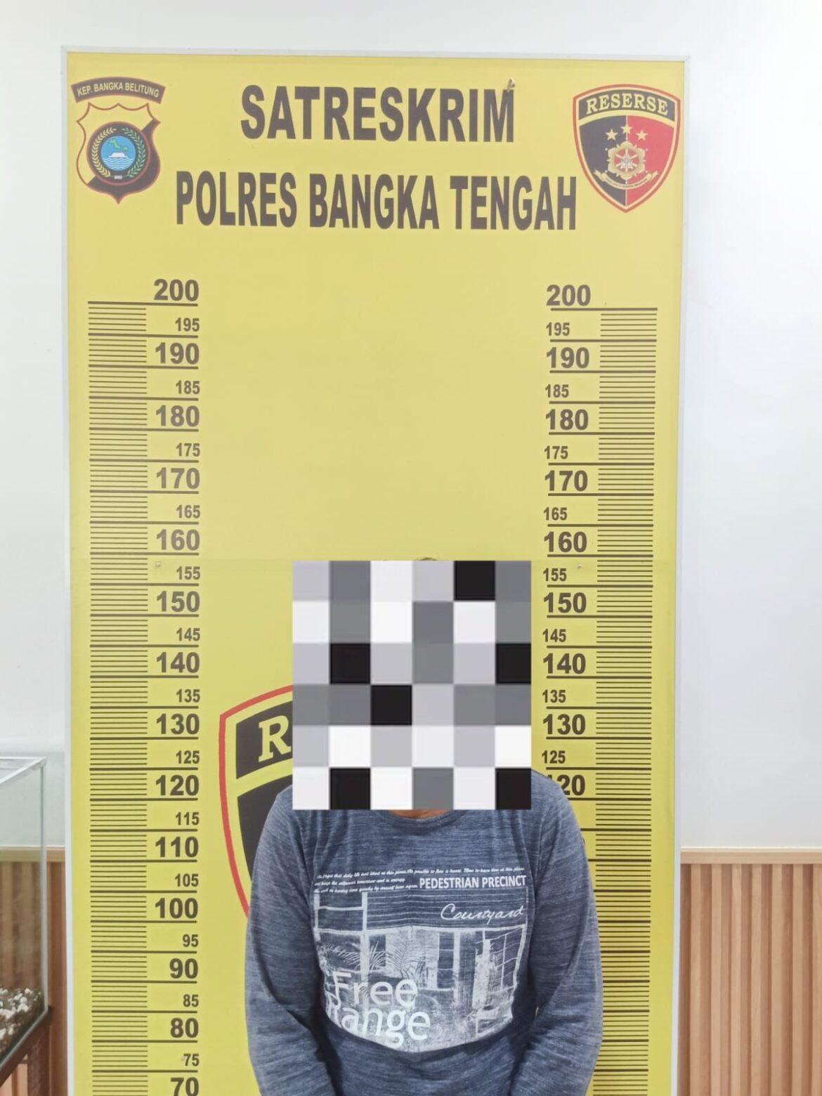 *Polres Bangka Tengah Ungkap Kasus Pencurian TBS Sawit di Desa Cambai Selatan, Satu Pelaku Diamankan*