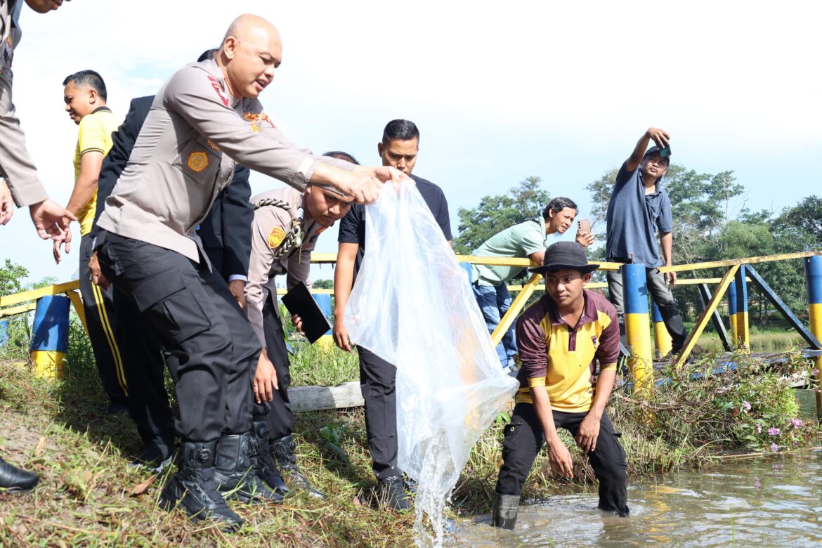 *Polda Babel Kembali Tebar Ribuan Bibit Ikan di Bhay Park, Kapolda: Semoga Bisa Berikan Hiburan Bagi Masyarakat*