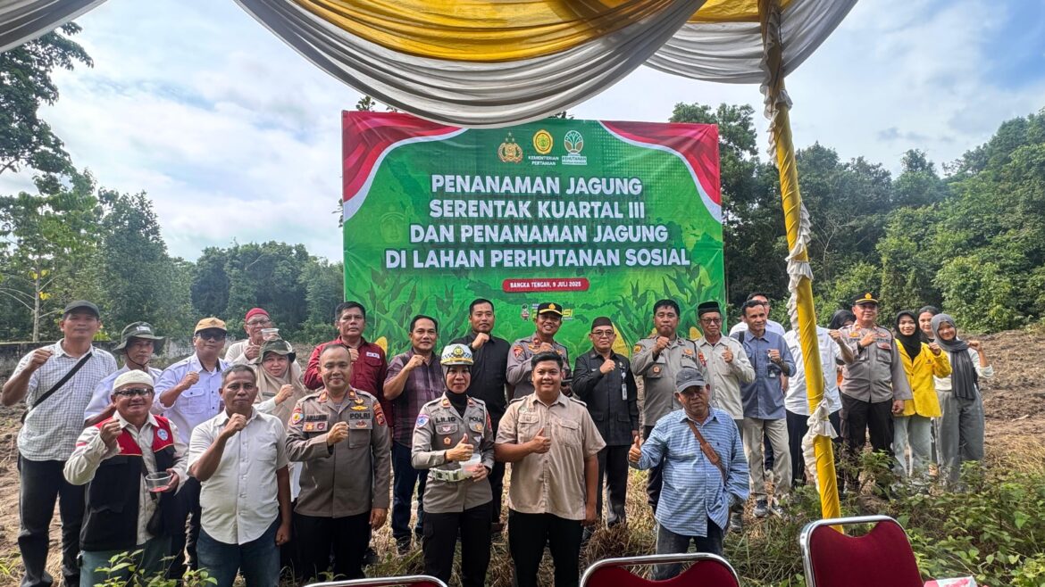 *Polres Bangka Tengah Dukung Ketahanan Pangan Lewat Penanaman Jagung Serentak Kuartal III*