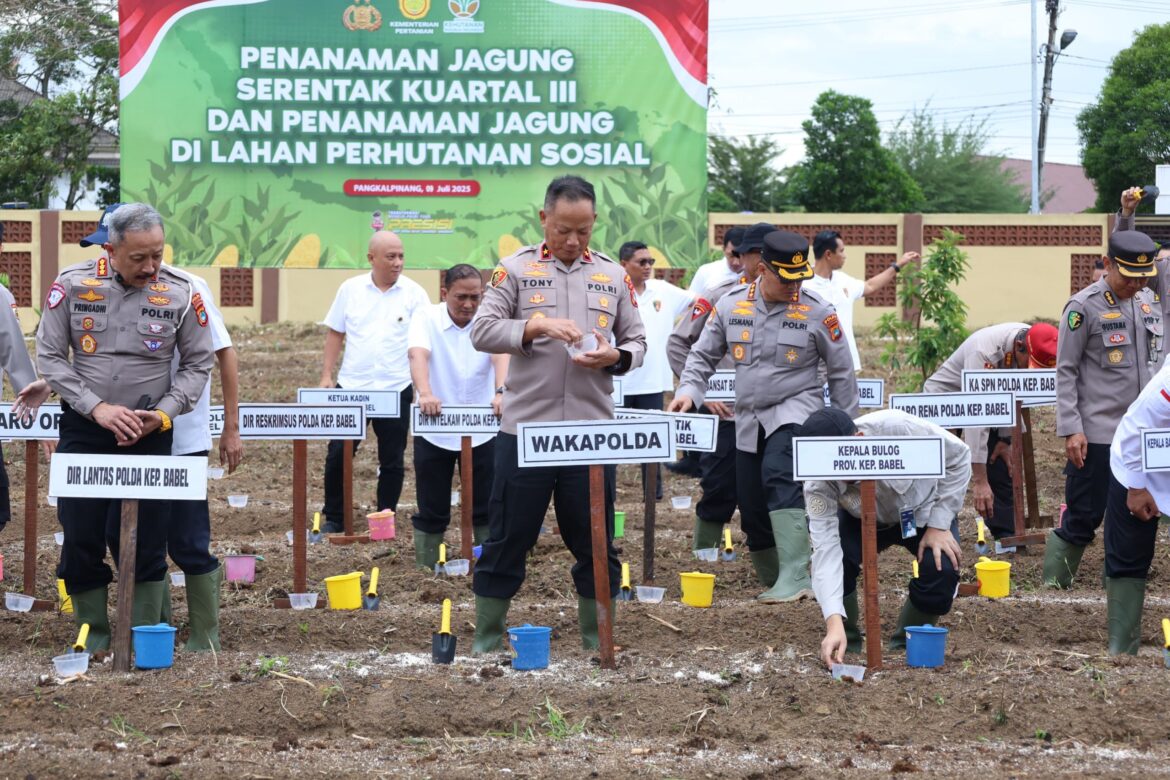 *Dukung Swasembada Pangan, Polda Babel Gelar Penanaman Jagung Serentak Kuartal III*