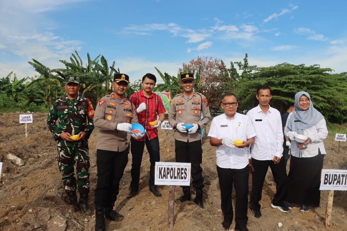 PENANAMAN JAGUNG SERENTAK KUARTAL III DI LAHAN PERHUTANAN SOSIAL, POLRES BANGKA BARAT DUKUNG KETAHANAN PANGAN NASIONAL