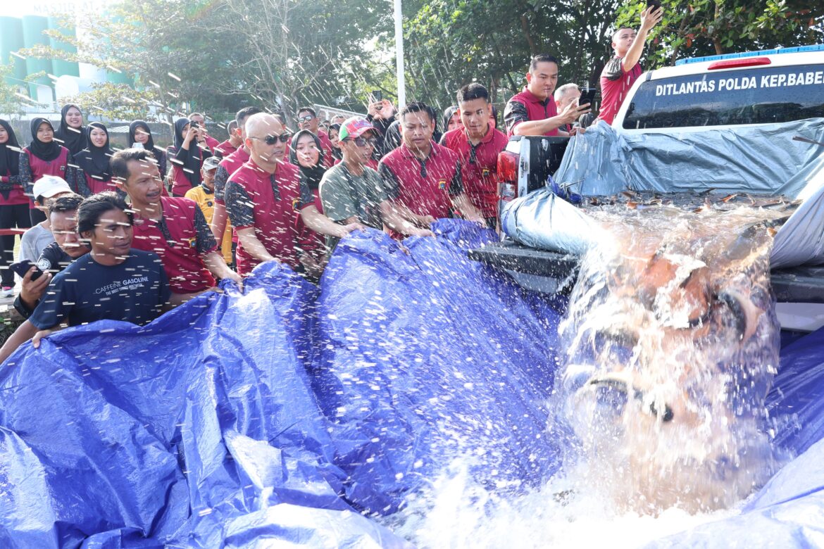 *Kapolda Babel Ajak Anggota Lepaskan Ratusan Ikan Dan Burung Di Kawasan Taman Bhaypark*