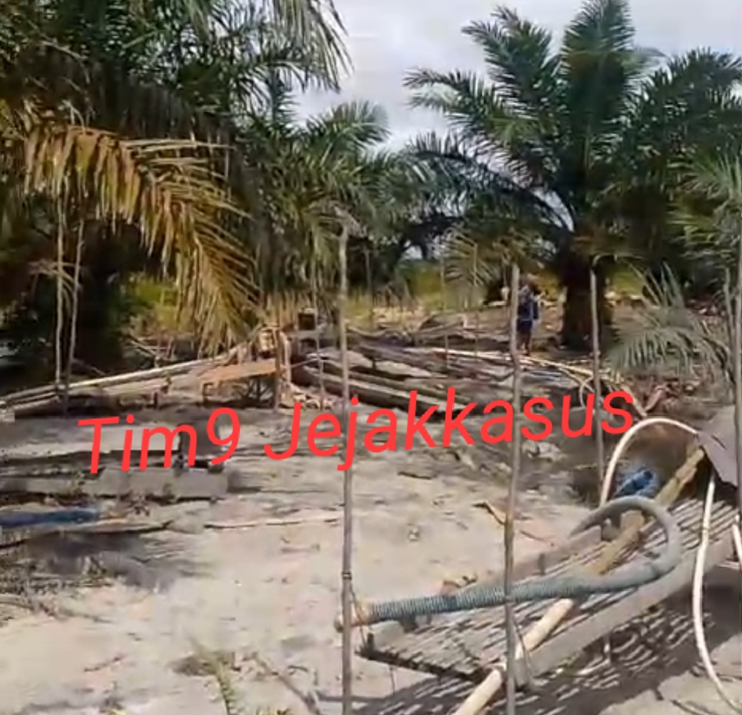 Sumber Katakan  Win dan Junai Di Modali Oknum Dewan Dapit ,Membeli Timah Disawit Hutan HP Desa Celuak.