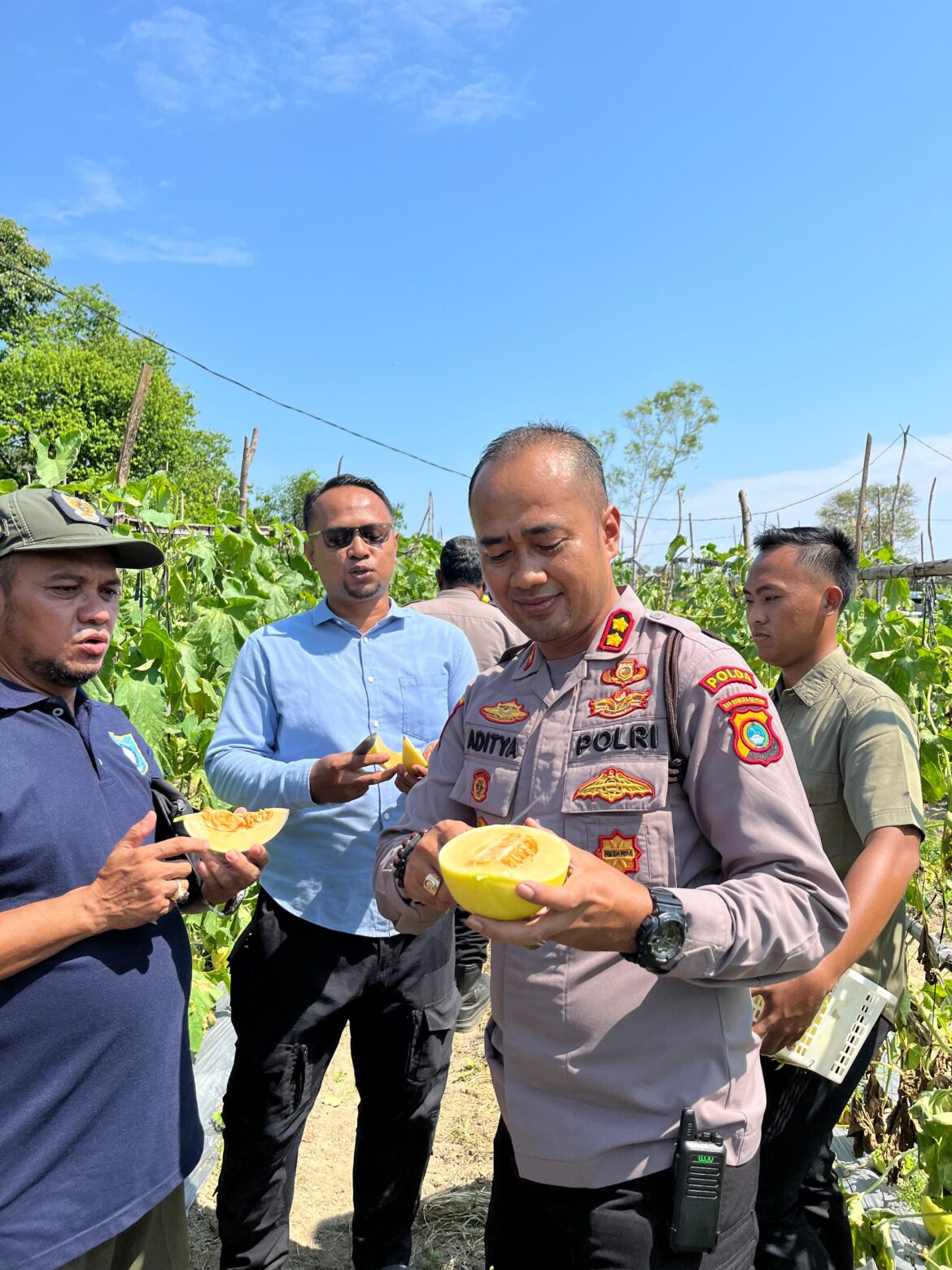 Kades Belo Laut Apresiasi Kapolres Bangka Barat Hadir Langsung di Kebun, Dukung Petani Dan Beri Rasa Aman