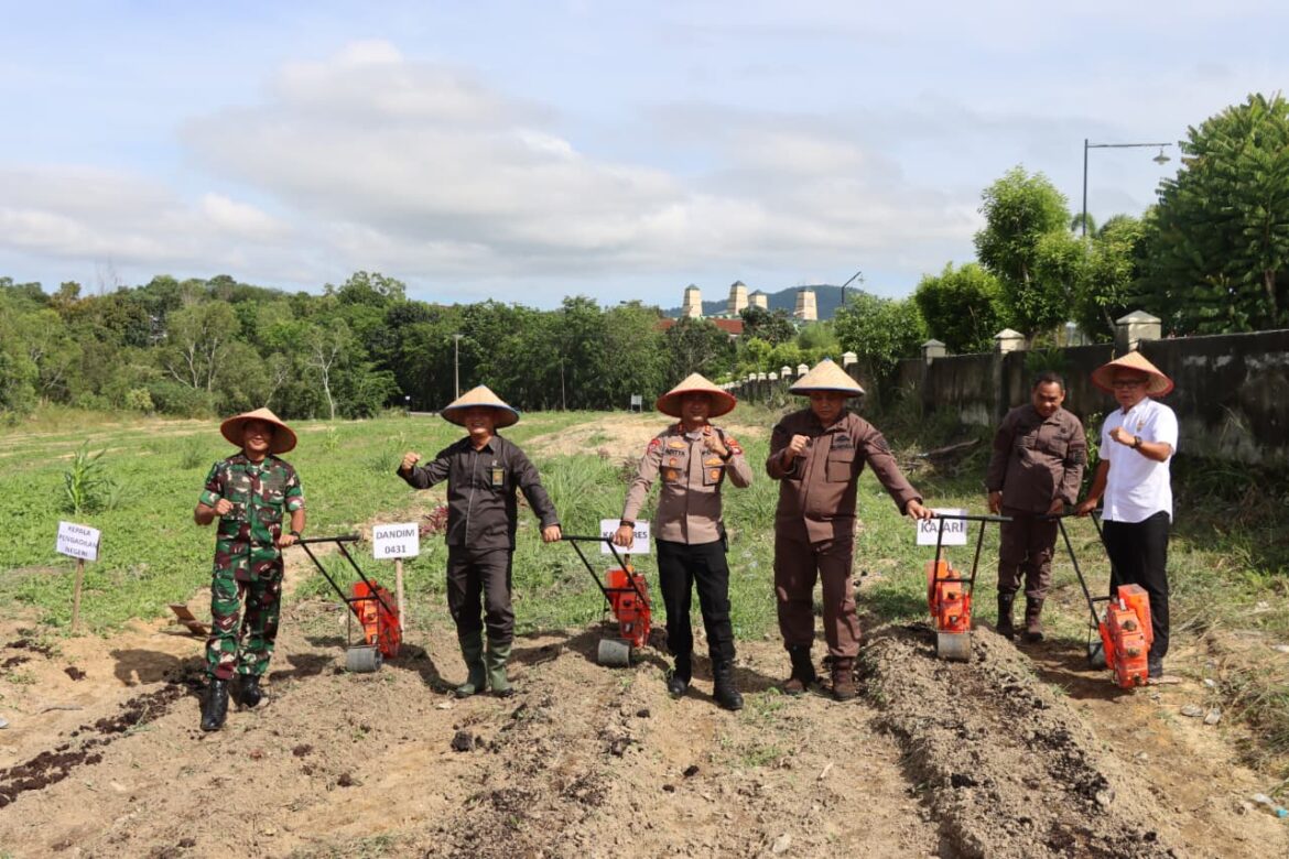 Polres Bangka Barat Gelar Penanaman Jagung Serentak, Dorong Kemandirian Pangan dan Peduli Masyarakat