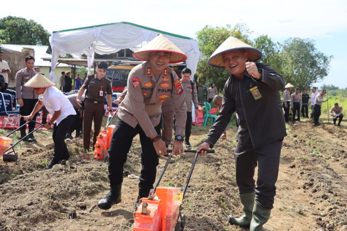 Polres Bangka Barat Pulihkan Lahan Bekas Tambang dengan 14 Ton Kotoran Ayam dan 3 Ton Kapur Dolomit