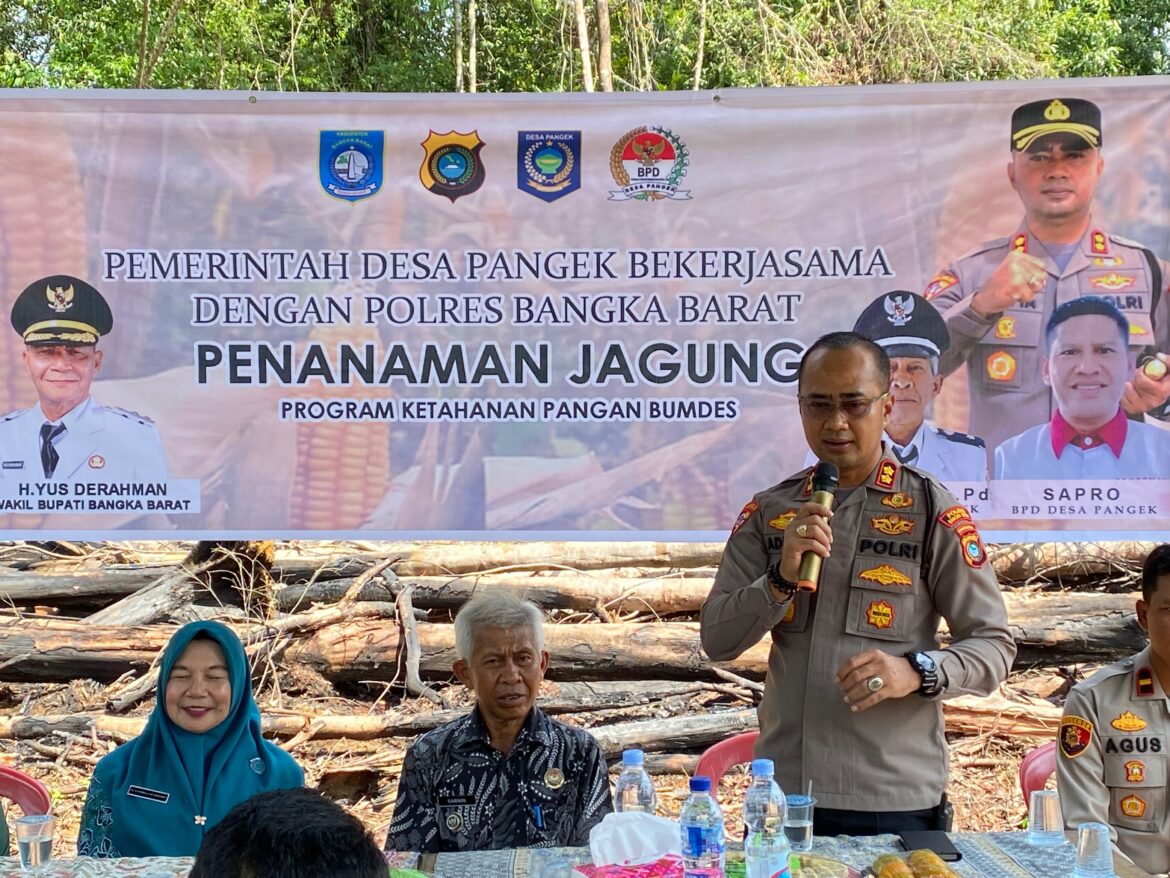 Kapolres Bangka Barat: “Alam Kita Sudah Baik, Tinggal Bagaimana Kita Mengelolanya dengan Bijak” Polres dan Desa Pangek Sulap Lahan 1,5 Hektare Jadi Kebun Jagung Produktif